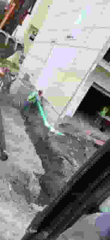 Project Image 5