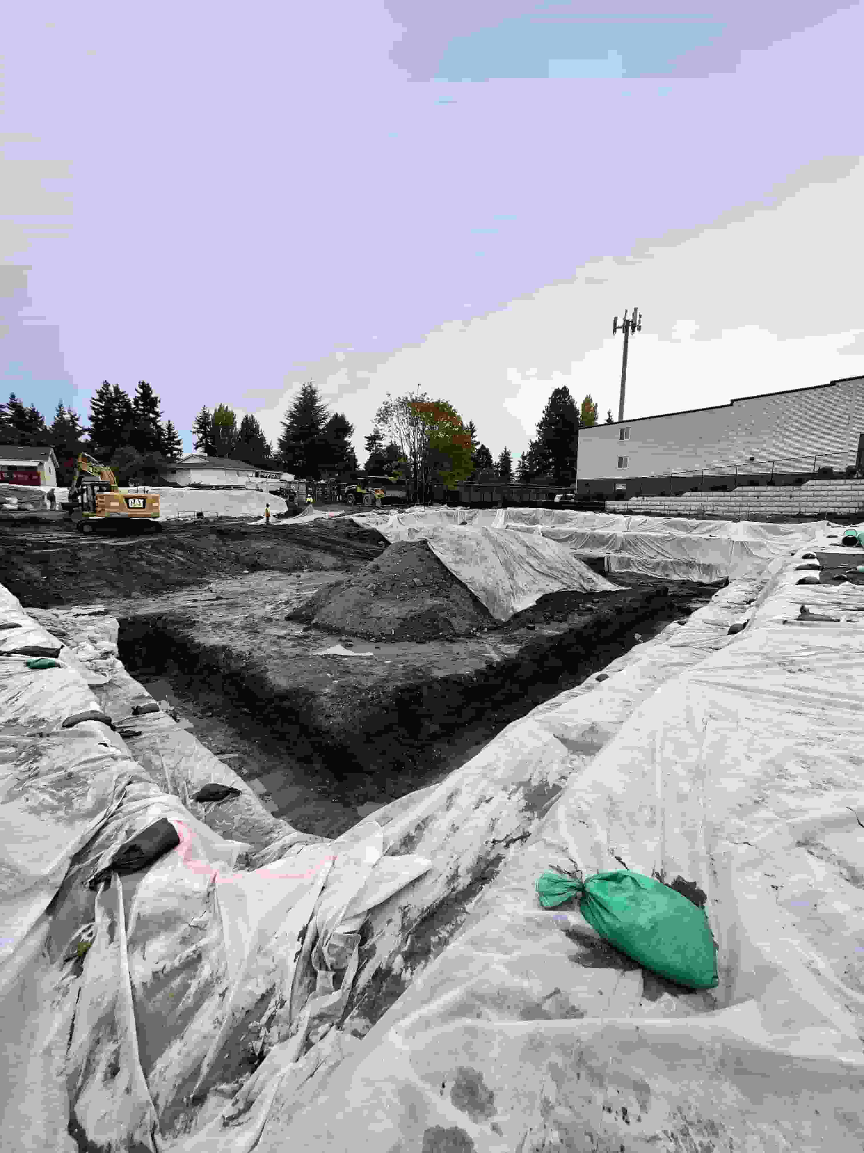 Project Image 5